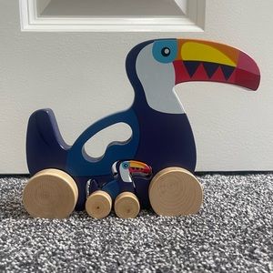 Push and Pull Toucan Toy